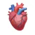 Heart With Arrow Emoji Copy And Paste – 💘 (U+1F498)